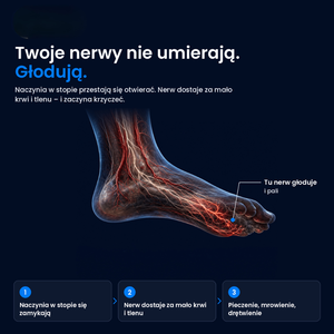 Dlaczego pieku stopy – schemat naczyń i nerwów w stopie