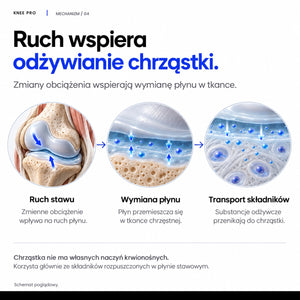 Schemat: ruch wspiera odżywianie chrząstki