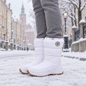 Froster