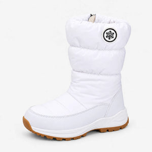 Froster
