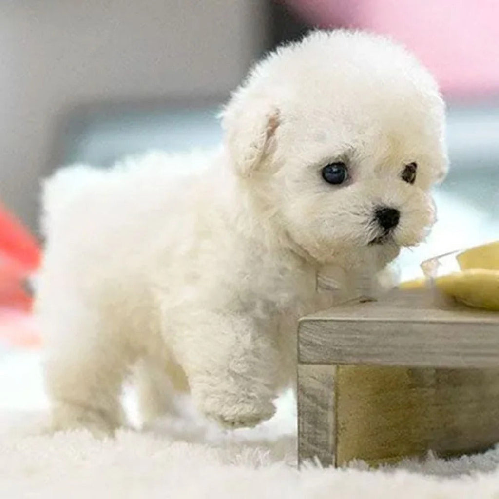 Pupperoo - Realistyczny Piesek Robot, Interaktywny Towarzysz - Białe